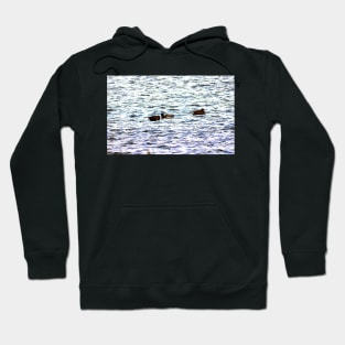 Ducks in a Row Hoodie